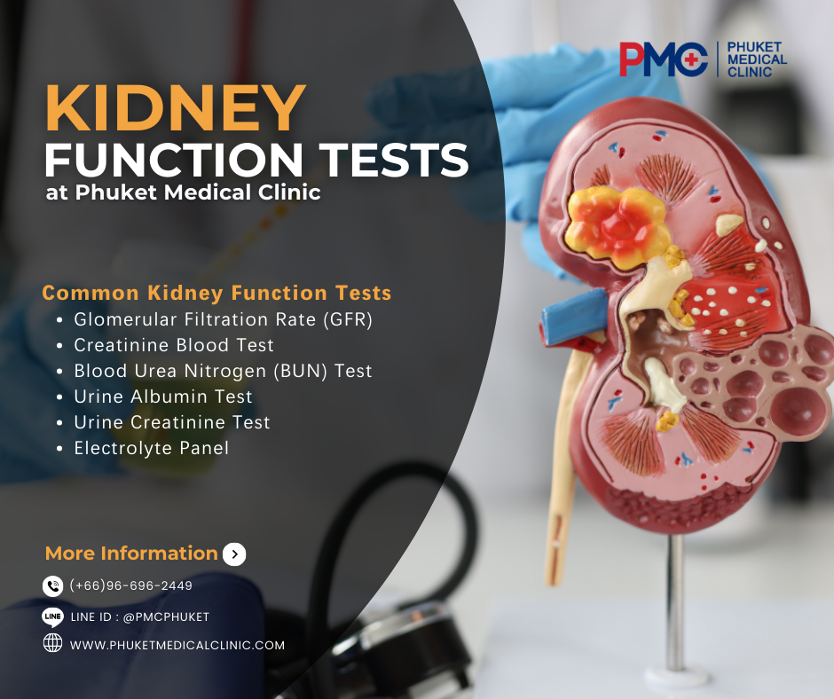 Kidney Function Tests at Phuket Medical Clinic