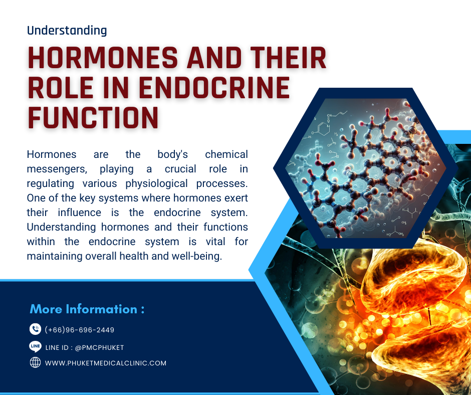 Understanding Hormones and Their Role in Endocrine Function