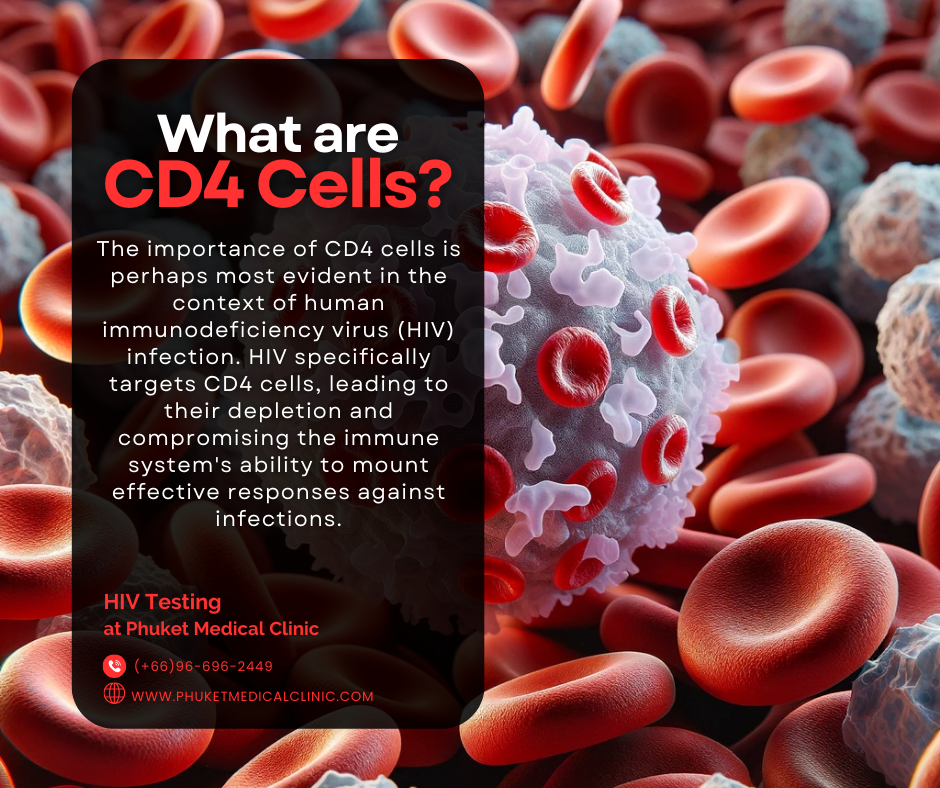 What are CD4 Cells